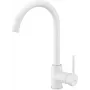 Kitchen faucet