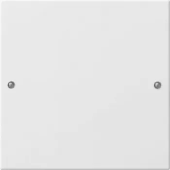 Gira 218103 Networking Device White