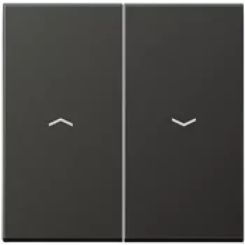 Switch rocker cover JUNG AL 2995 P AN anthracite for compatible 4072.01 LED, IP44