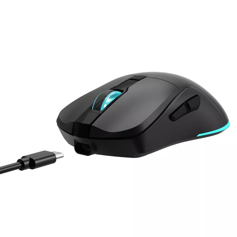 Mouse Baracuda BGM-121 Turtle Black USB