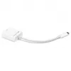 USB Adapter, USB-C Plug > DisplayPort Socket (White, 11cm)