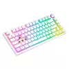 Gaming Keyboard Savio Phenix WHITE GAT RED PUD Wired Wireless USB Bluetooth RGB LED