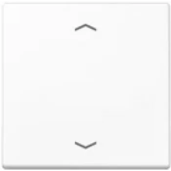 Jung A101PWW Networking Device