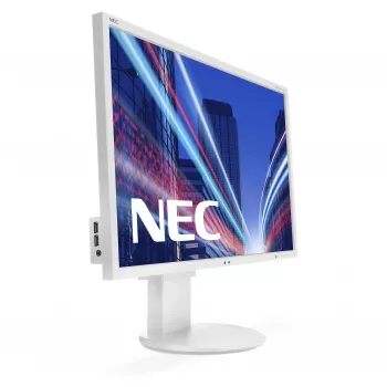 Nec G202591-003A4 Display