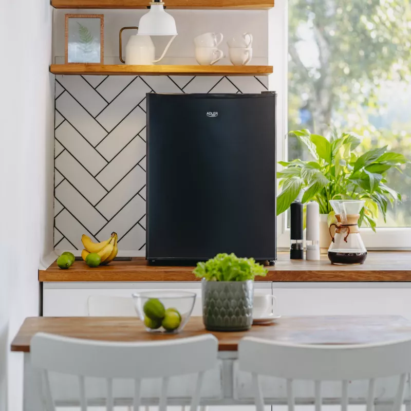 Adler Refrigerator | AD 8097 | Energy efficiency class E | Free standing | Larder | Height 63.2 cm | Fridge net capacity 58 L | 39 dB | Black
