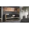 Cama RTV PORTO 2D cabinet 150x38x50 oak/black