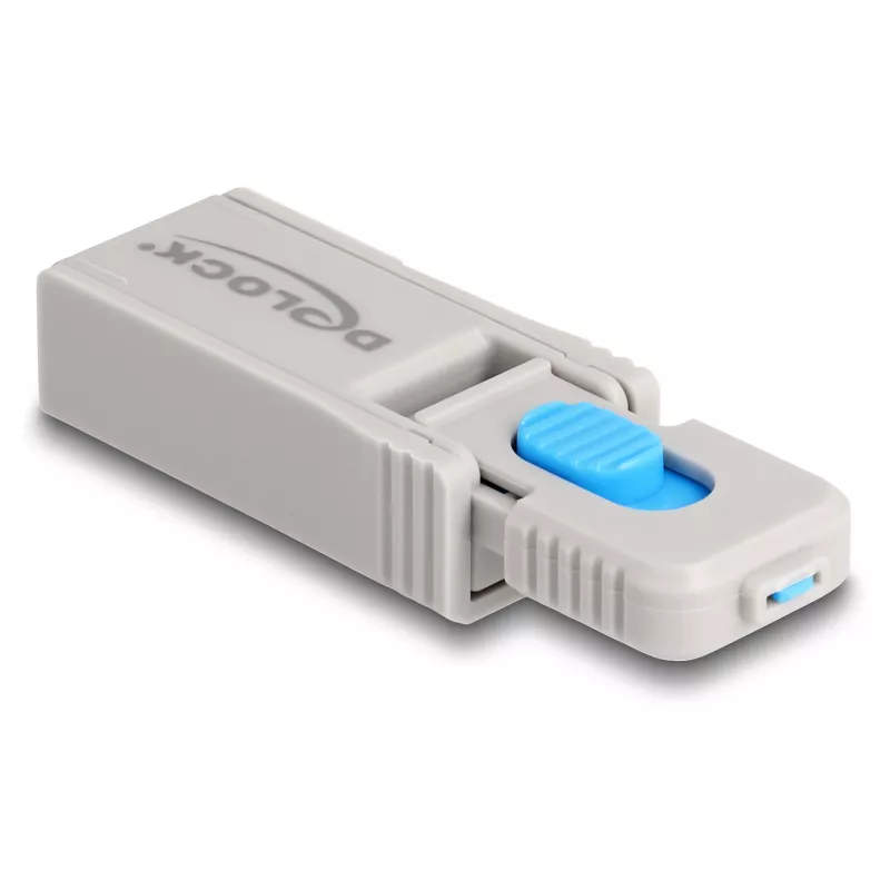 Port lock DeLOCK 20969 DisplayPort HDMI USB Type-A USB Type-C Grey