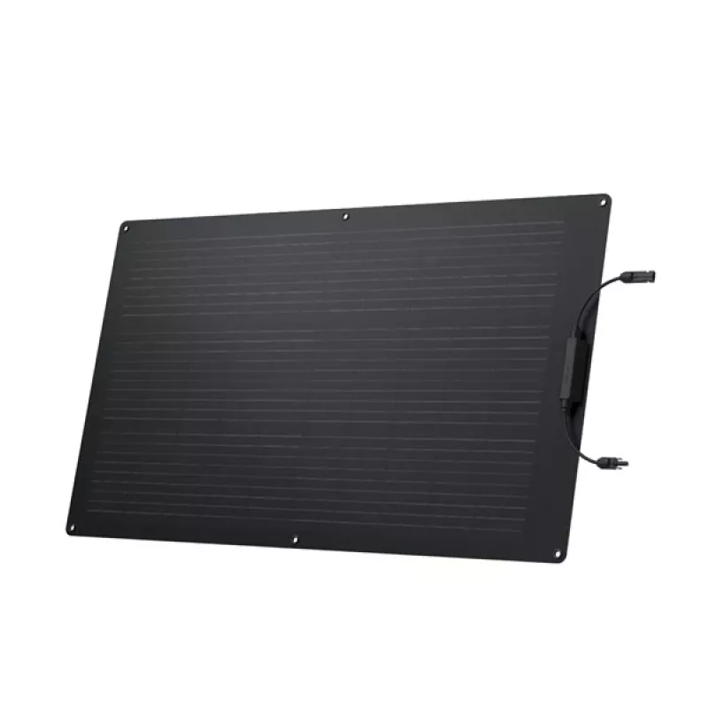 EcoFlow ZMS330 solar panel 100 W Monocrystalline silicon