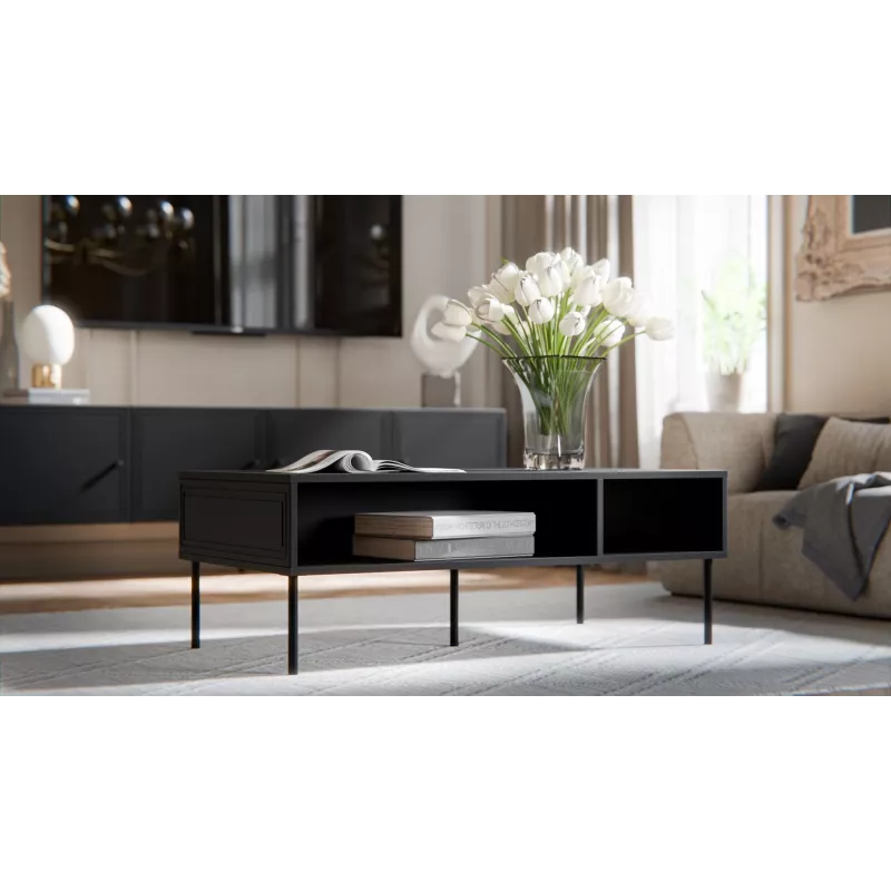 Cama PALAZZO BIS table/latrine 110x60x40 matte black