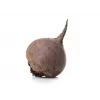 Dark Red Beetroot Toraf Vegetable Seeds, 20g Pack