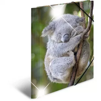 Conventional file folder HERMA 19323