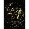 Jigsaw Puzzle Ravensburger Mushrooms in the Moonlight, Glow-in-the-Dark, 500 pieces