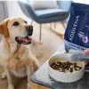 ADDVENA Power of Nature Senior Medium/Large Lamb - dry dog food - 10kg