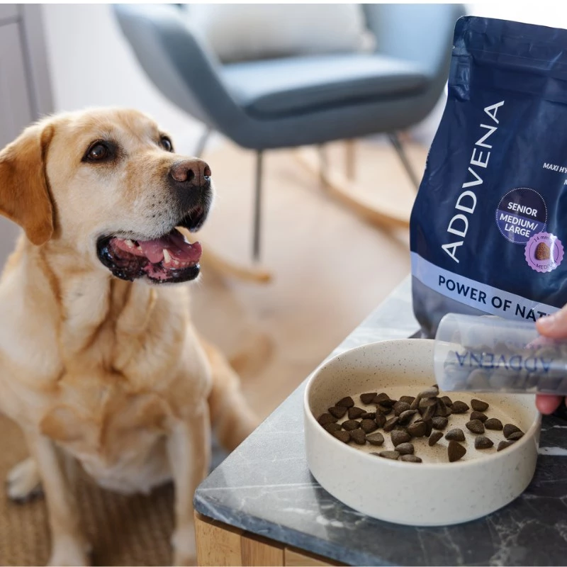 ADDVENA Power of Nature Senior Medium/Large Lamb - dry dog food - 10kg