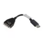 Lenovo 43N9160 DVI-D DisplayPort Black