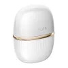 ANLAN 01-ADRY51-02A RF lifting facial care device