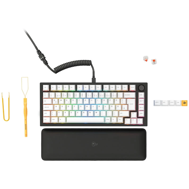 Glorious GMMK Pro Black Slate 75% TKL Keyboard - Pre built, ISO DE-Layout - black (GLO-GMMK-P75-FOX-ISO-B-DE)