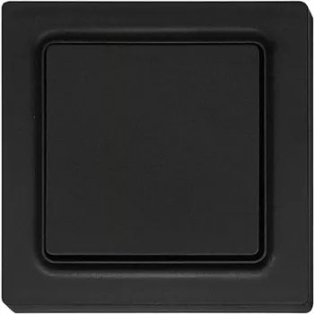 Switch Eltako F2T55E-am 55×55 mm antistatic matt – wall-mounted electrical switch