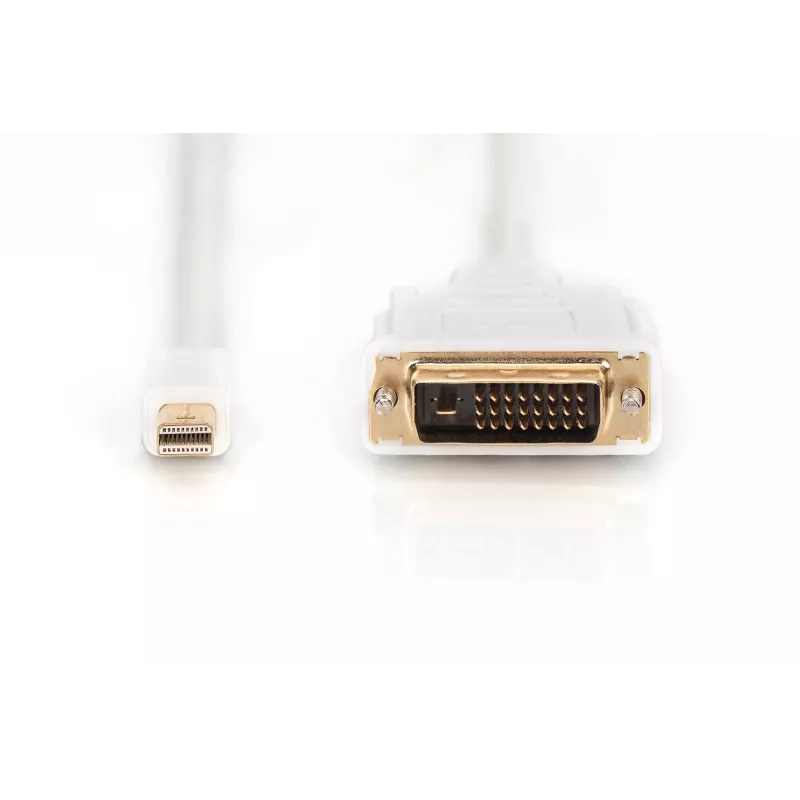Cable DisplayPort 1.1a mini DP-DVI tyPA MM 2.0m