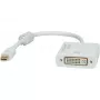 Video Cable Adapter ROLINE 12.03.3137 Mini DisplayPort to DVI-D 0.1m