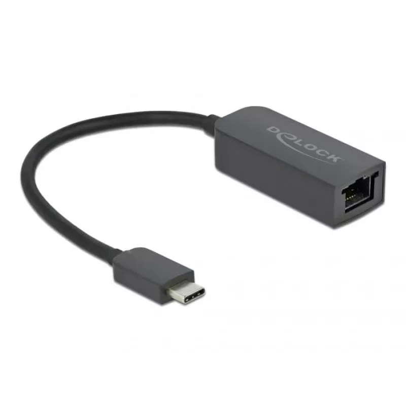 Adapter USB Type-C male to 2.5 Gigabit LAN compact DeLOCK 66645