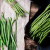 Nomad Green Dwarf Bean Seeds, 50g - Vegetable Seeds