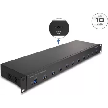 DeLOCK 64240 19-inch industrial USB hub, 10 x USB-A, 10 Gbps