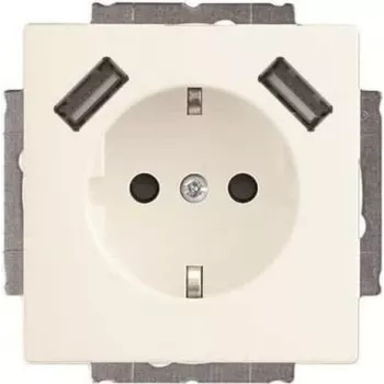 Busch-Jaeger SCHUKO-2x USB Socket Outlet 20 EUCB2USB-884 (2CKA002011A6277)