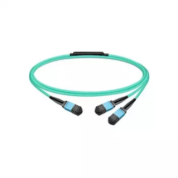 Molex PN passive fiber cable MMF MPO12 APC 7 m