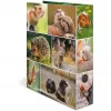 HERMA 19252 ring binder A4 Multicolour D-ring Storage