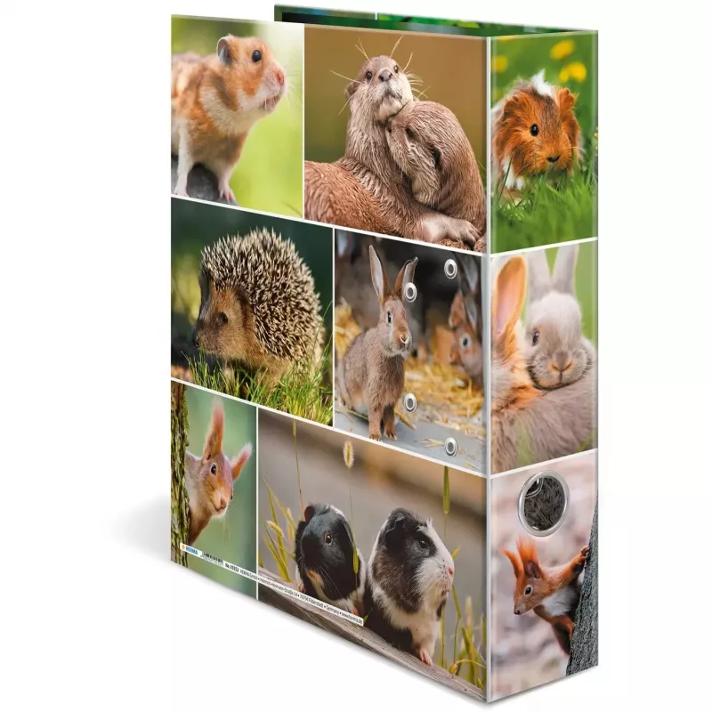 HERMA 19252 ring binder A4 Multicolour D-ring Storage