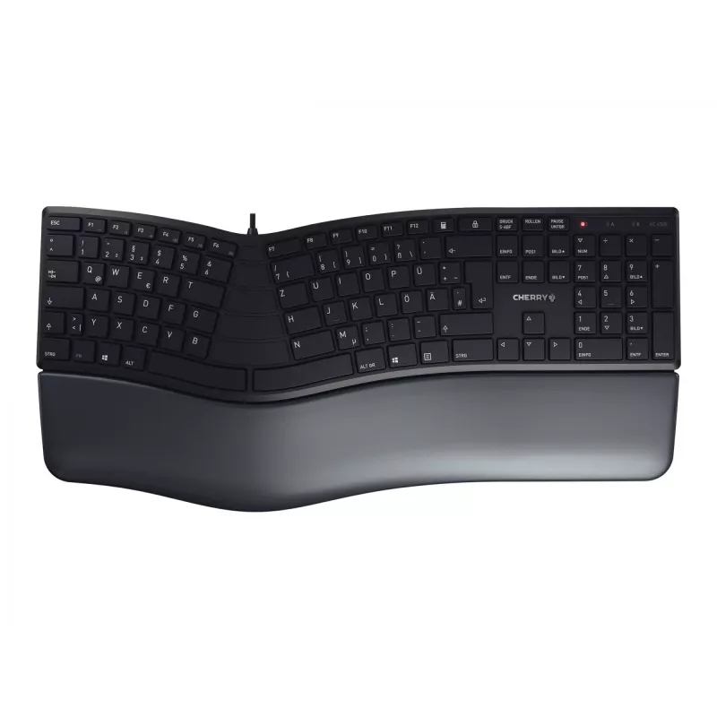 CHERRY KC 4500 keyboard Office USB Black