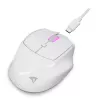 Sharkoon OfficePal M25W wireless office mouse, right-hand, 4000 DPI