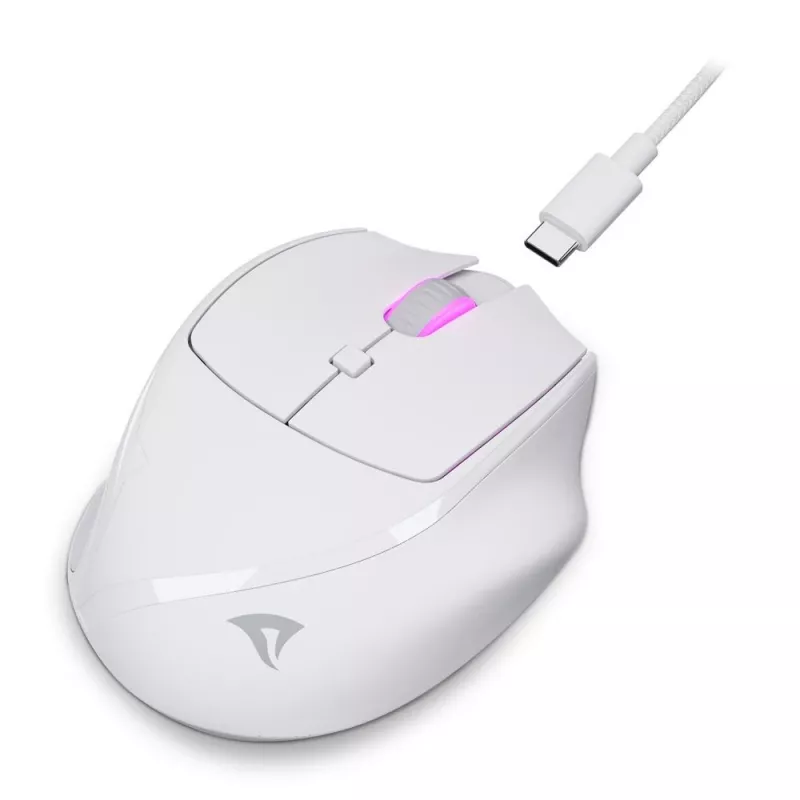 Sharkoon OfficePal M25W wireless office mouse, right-hand, 4000 DPI