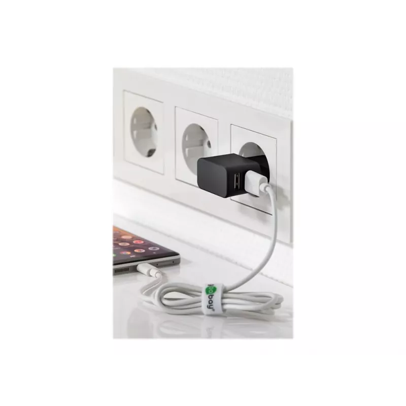 Wentronic goobay Dual USB charger - Power Supply - 12 Watt - 2,4 A - 2 Output Ports (USB) - Black (44951)
