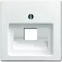 busch jaeger central socket UAE 1-gang 1803-914 (MPN 2CKA001753A0225)
