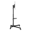 SBOX TV wall mount FS-224-2 for 32–55 inch screens, 35 kg load, VESA up to 400×400