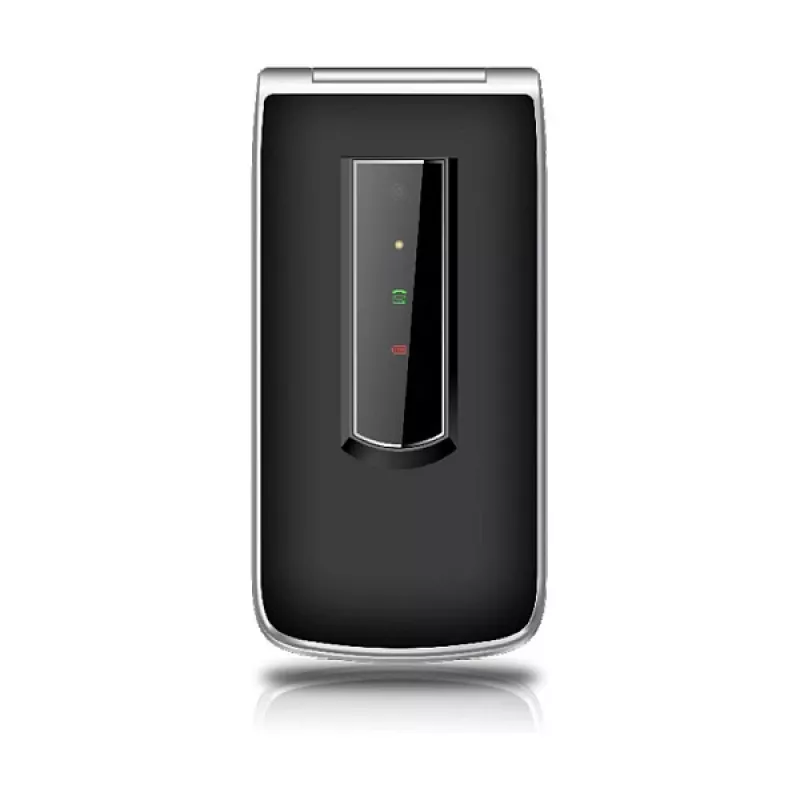 Beafon SL495LTE_EU003B Silver