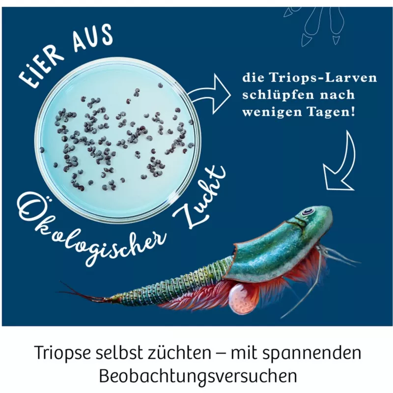Kosmos 633073 Triops World science experiment kit