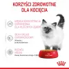 Wet cat food Royal Canin Kitten Gravy 85 g — poultry, 78% moisture, 12% protein