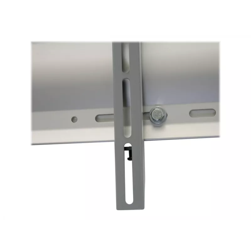 Ergotron 60-604-003 Silver