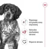 Royal Canin SHN Medium Adult dry dog food, 15 kg