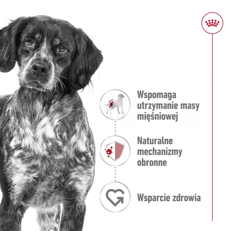Royal Canin SHN Medium Adult dry dog food, 15 kg