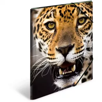 Folder Polypropylene (PP) HERMA 7142 A3 Multicolour
