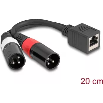 DeLOCK audio cable 0.2 m RJ-45 2 x XLR (3-pin) Black 88179