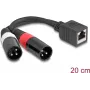 DeLOCK audio cable 0.2 m RJ-45 2 x XLR (3-pin) Black 88179