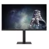 Dahua Technology computer monitor LM25-E241A 24.5 inch (62.2 cm) Full HD 1920×1080 IPS LCD VESA, height adjustable, black