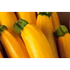 Golden Zucchini Toraf Vegetable Seeds, 5g Package