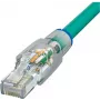 Phoenix Contact 1656725 Ethernet Patch Cable Grey