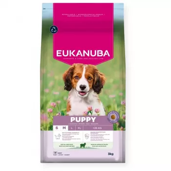 Dry dog food EUKANUBA Puppy & Junior Small/Medium Lamb & Rice 3 kg — complete feed for junior small/medium dogs